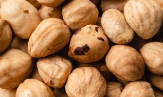 Piedmont Hazelnuts: A Heritage of Taste and Tradition